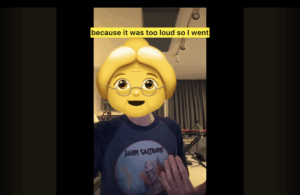 Cat Popper with older woman emoji with hair styled in a bun and wearing glasses over her real face.